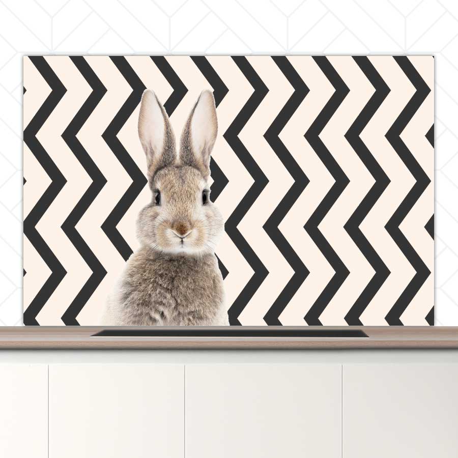 Spatscherm - Funny konijn zigzag