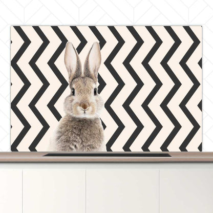 Spatscherm - Funny konijn zigzag