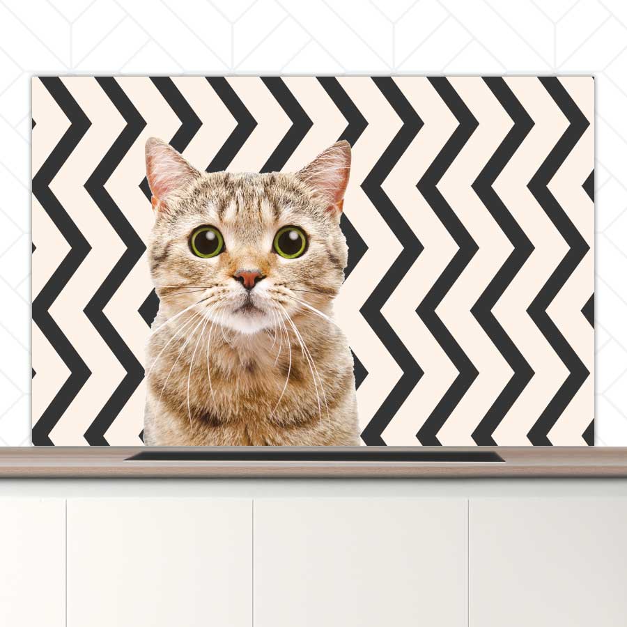 Spatscherm - Funny kat zigzag