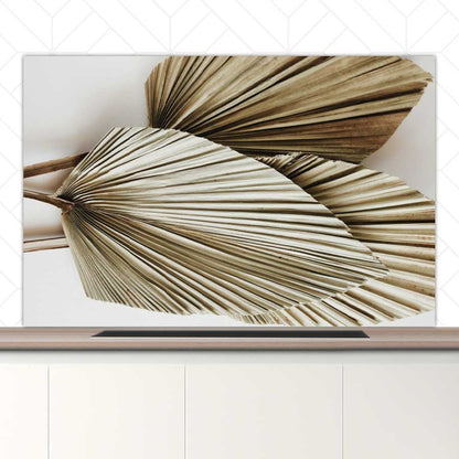 Spatscherm - Gedroogde palmbladeren