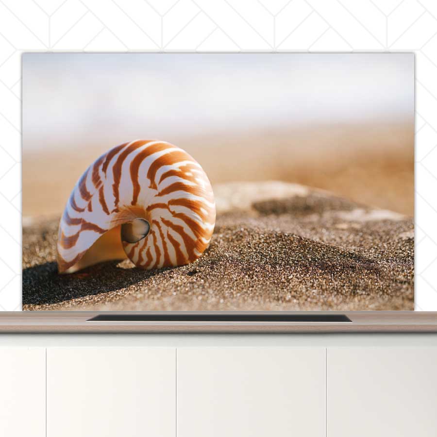 Spatscherm - Zeeschelp