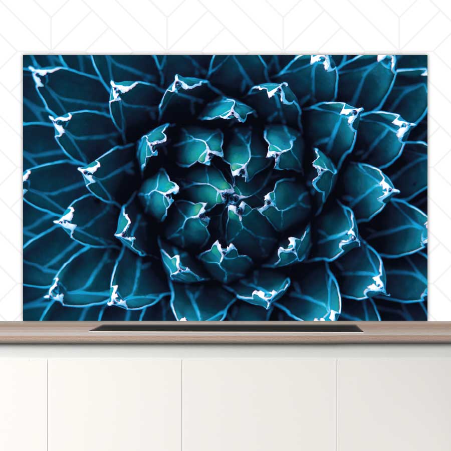 Spatscherm - Blauwe agave