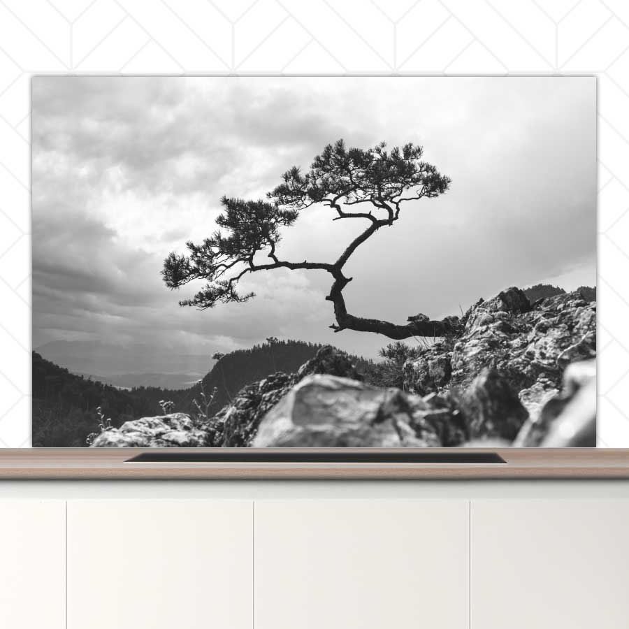 Spatscherm - Overhangende boom