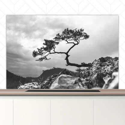 Spatscherm - Overhangende boom