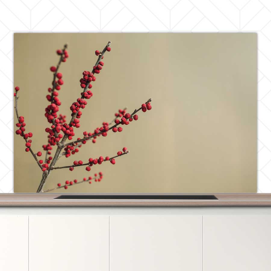 Spatscherm - Rode bessen