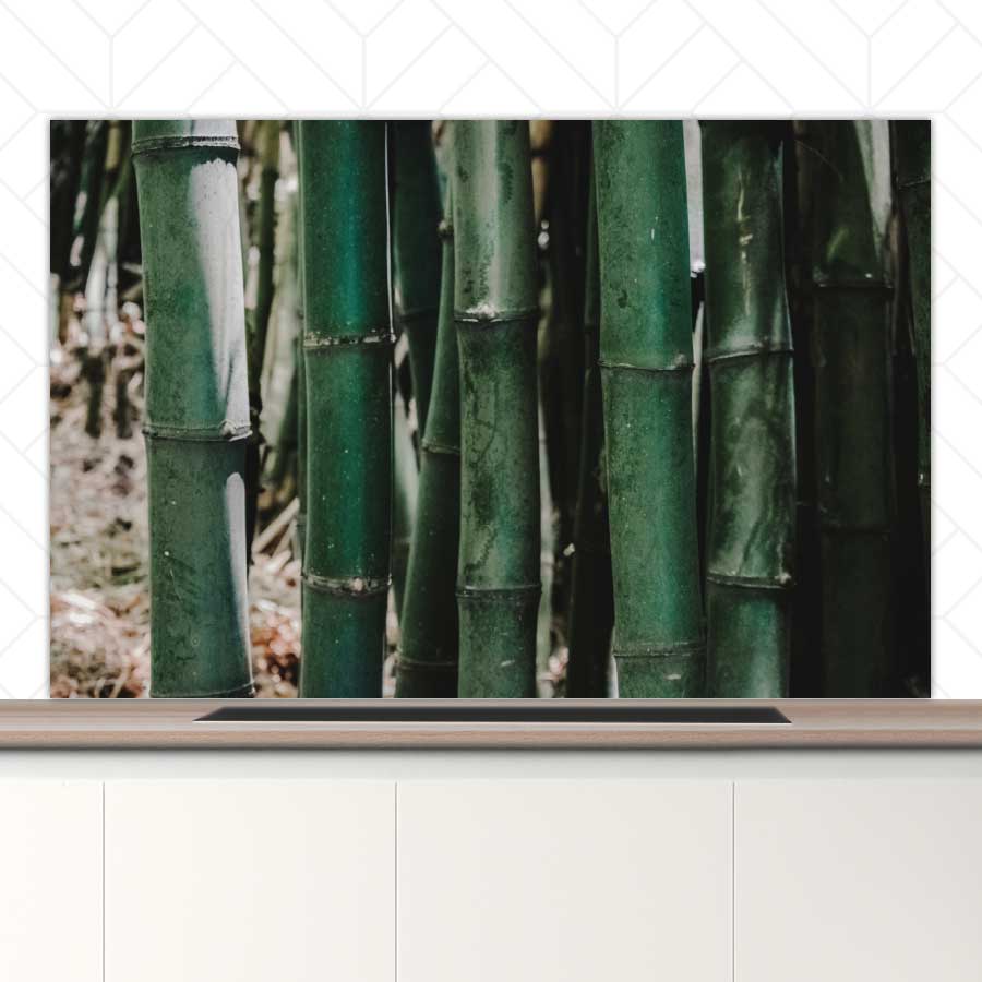 Spatscherm - Groene Bamboe