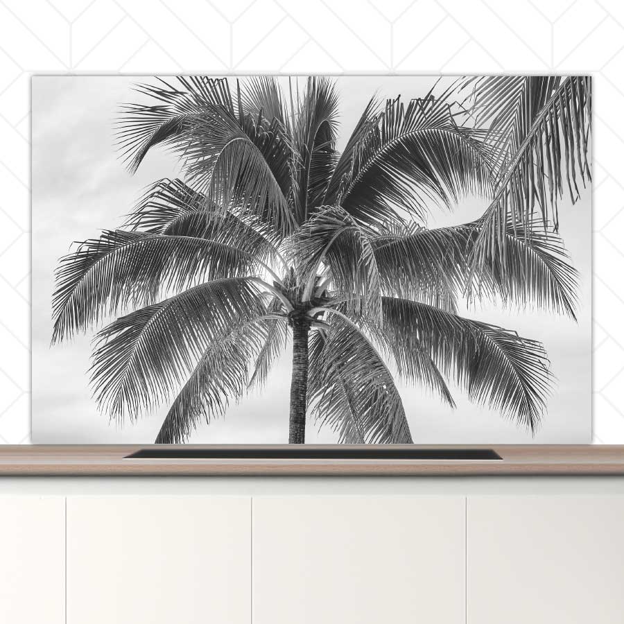 Spatscherm - Palmboom