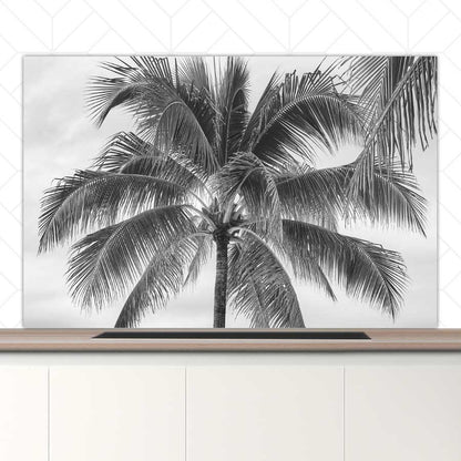 Spatscherm - Palmboom
