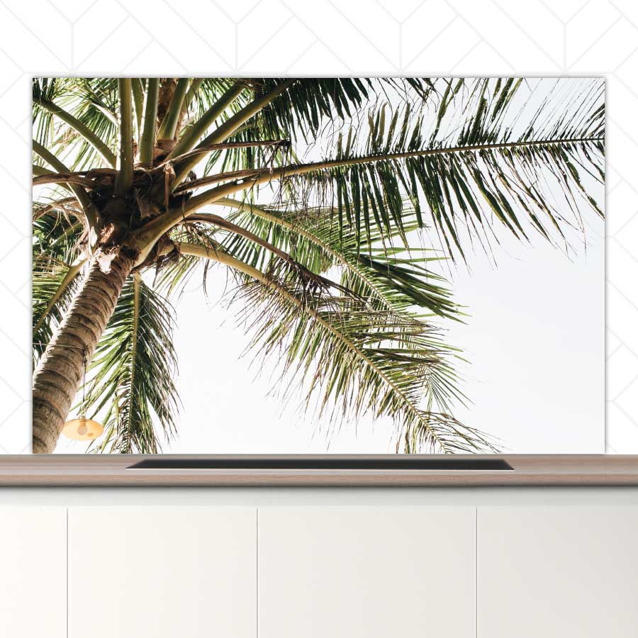 Spatscherm - Palmstrand