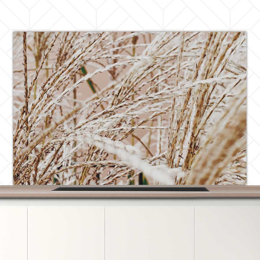 Spatscherm - Droge rietstengels