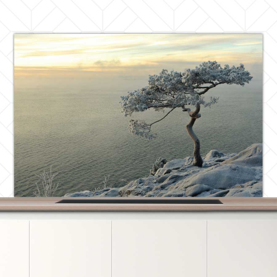 Spatscherm - Winterboom