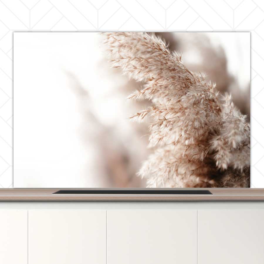 Spatscherm - Pampas gras