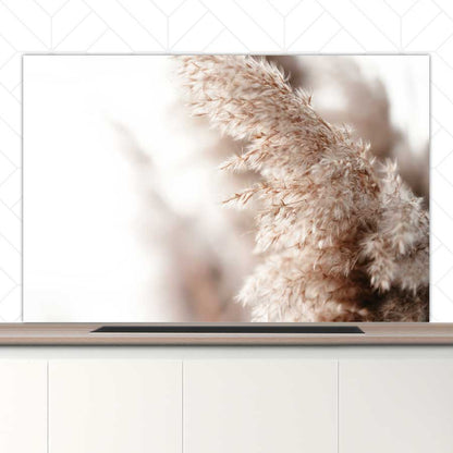 Spatscherm - Pampas gras