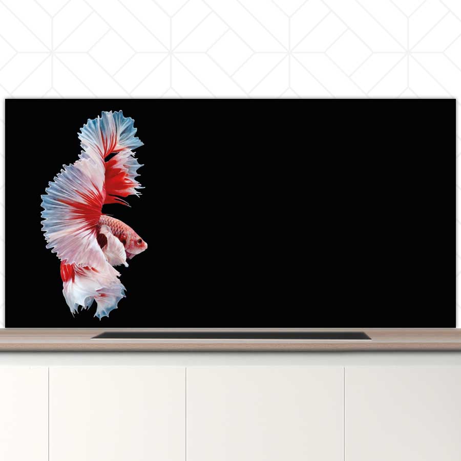 Spatscherm - Betta vis