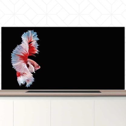 Spatscherm - Betta vis