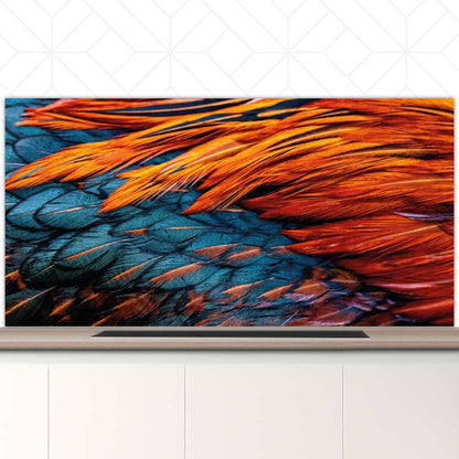 Spatscherm - Hanenveer