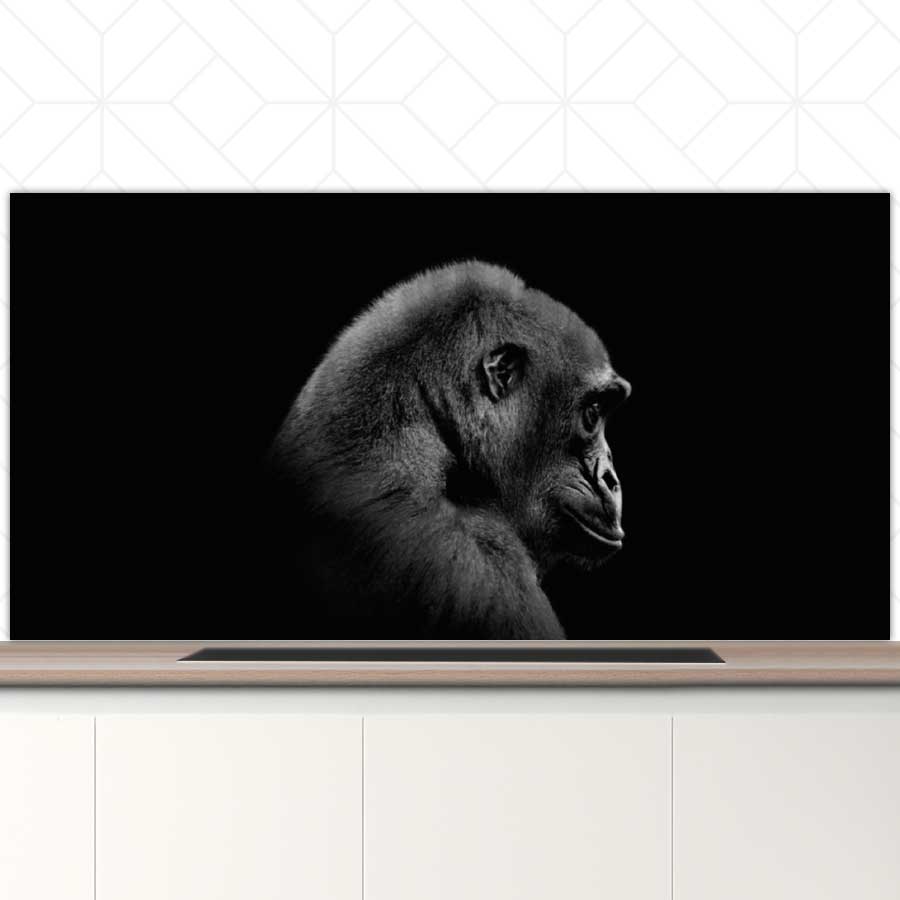 Spatscherm - Gorilla