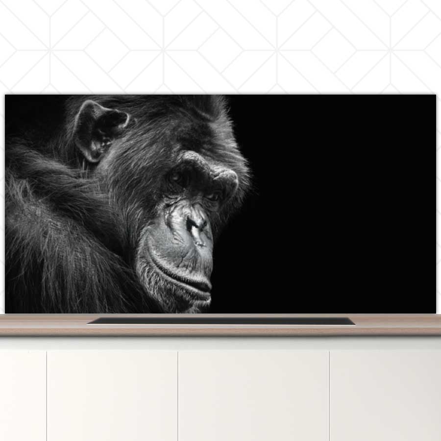 Spatscherm - Chimpansee