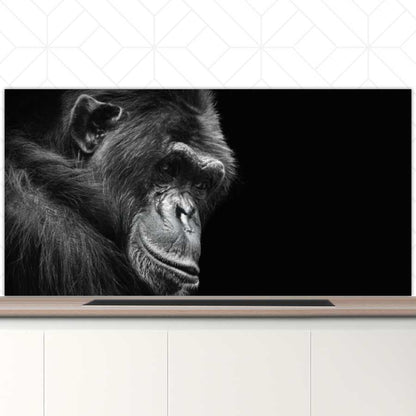 Spatscherm - Chimpansee