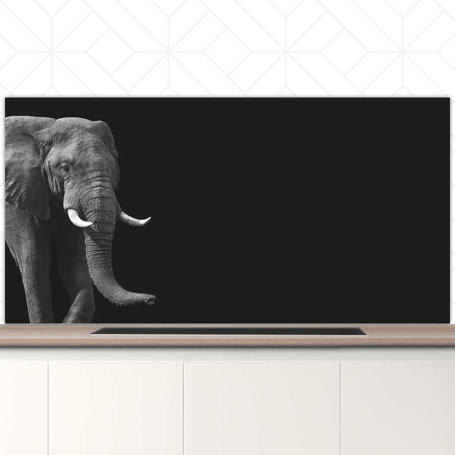 Spatscherm - Afrikaanse olifant