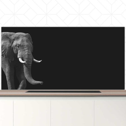 Spatscherm - Afrikaanse olifant