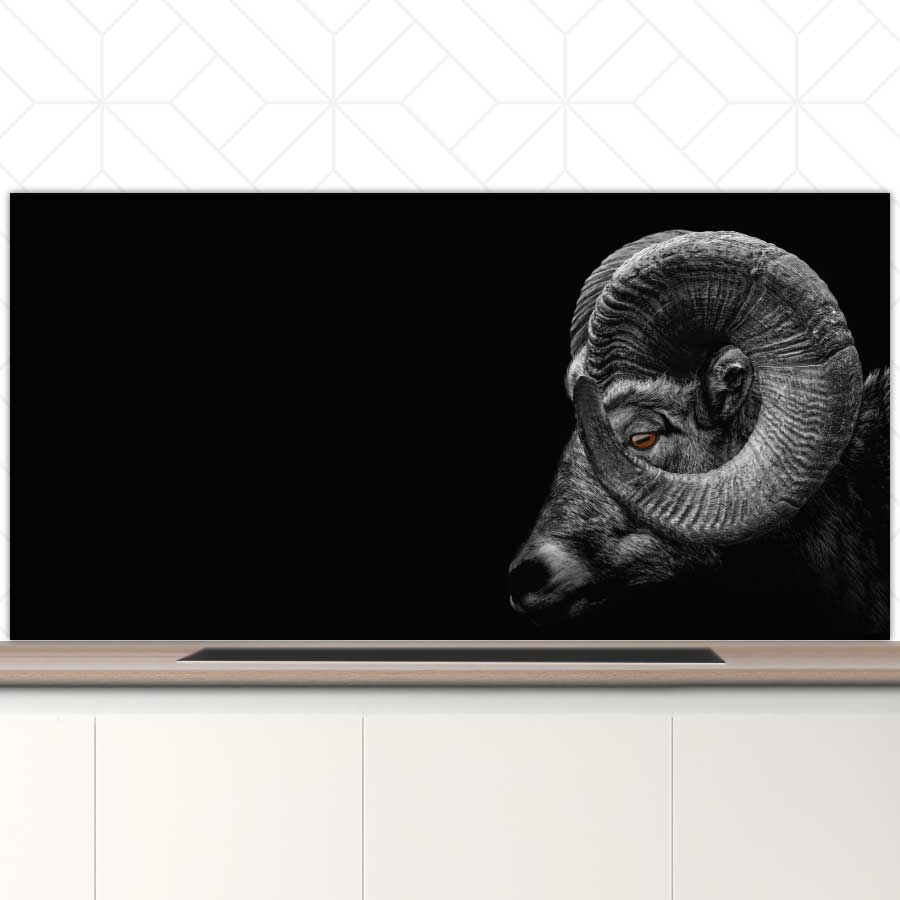 Spatscherm - Ram