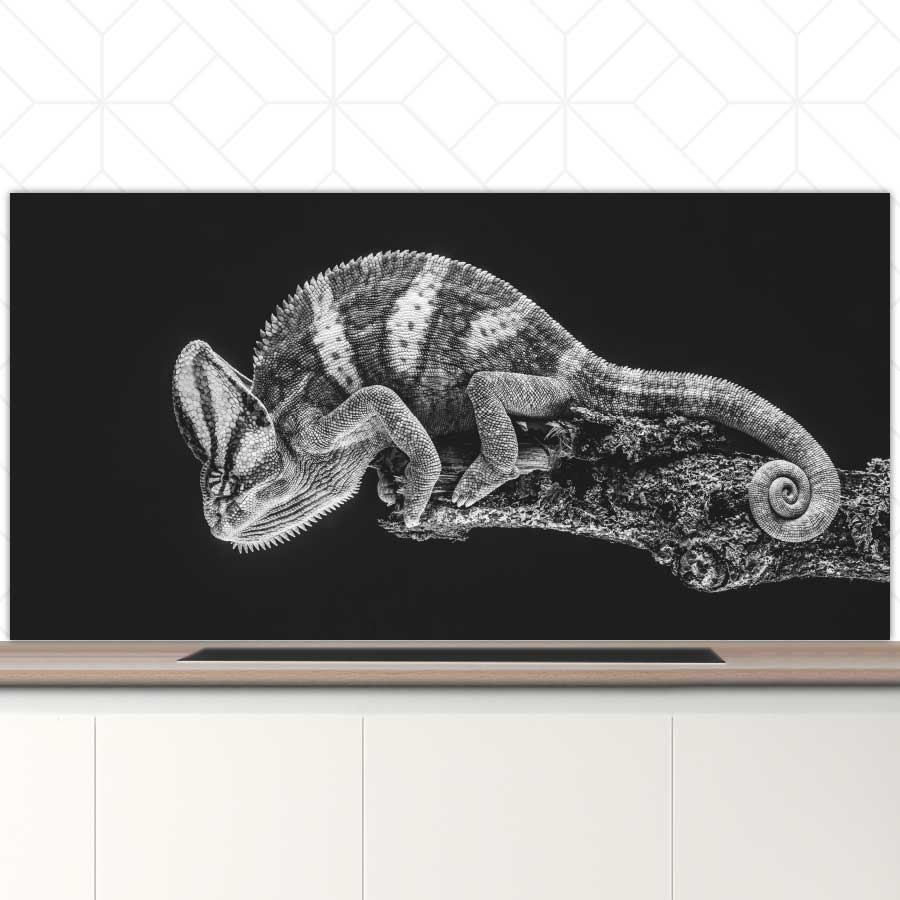 Spatscherm - Kameleon