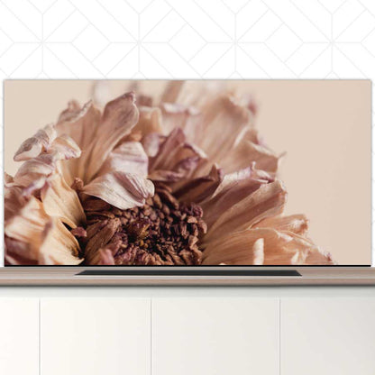 Spatscherm - Gedroogde chrysant