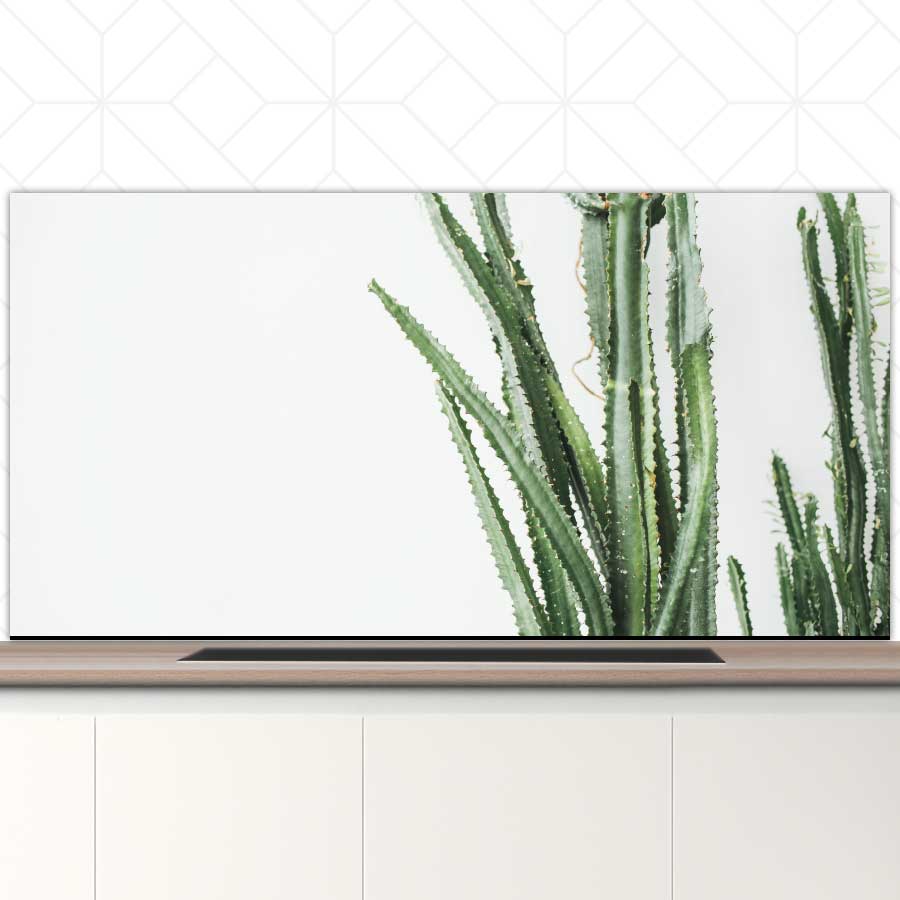 Spatscherm - Cactus