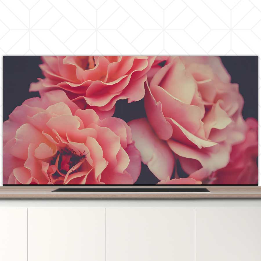 Spatscherm - Rozen close-up