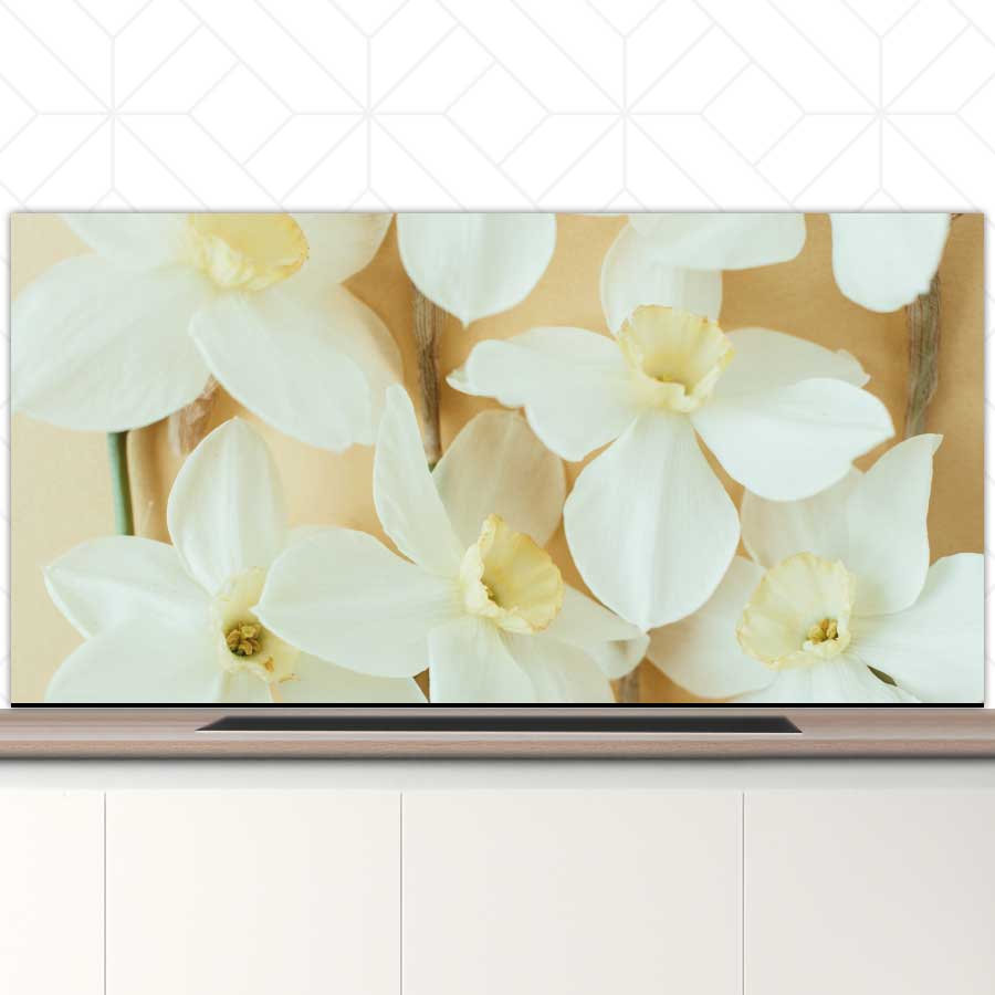 Spatscherm - Narcissen