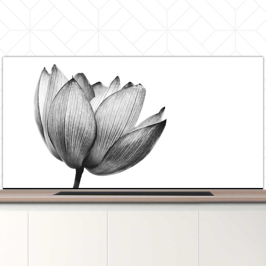 Spatscherm - Lotus in zwart-wit
