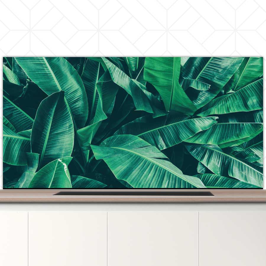 Spatscherm - Tropische bladeren