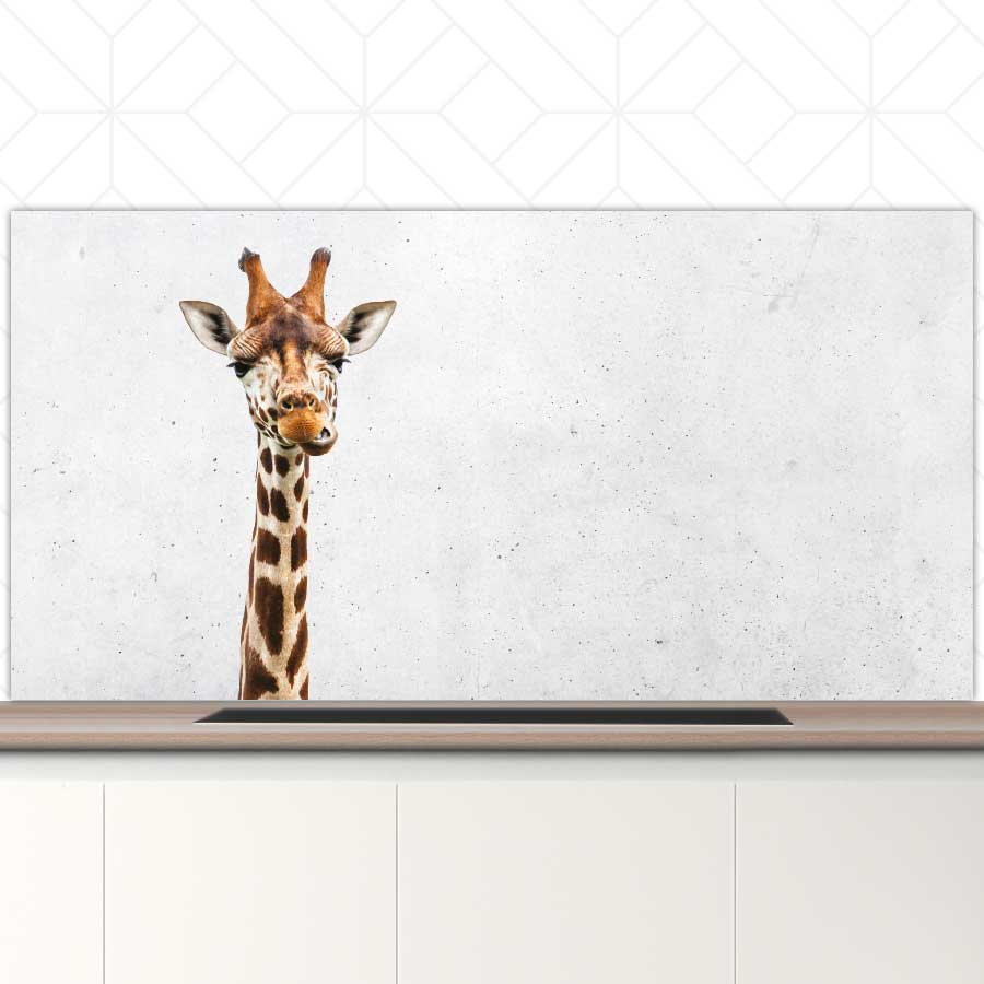 Spatscherm - Funny giraf beton