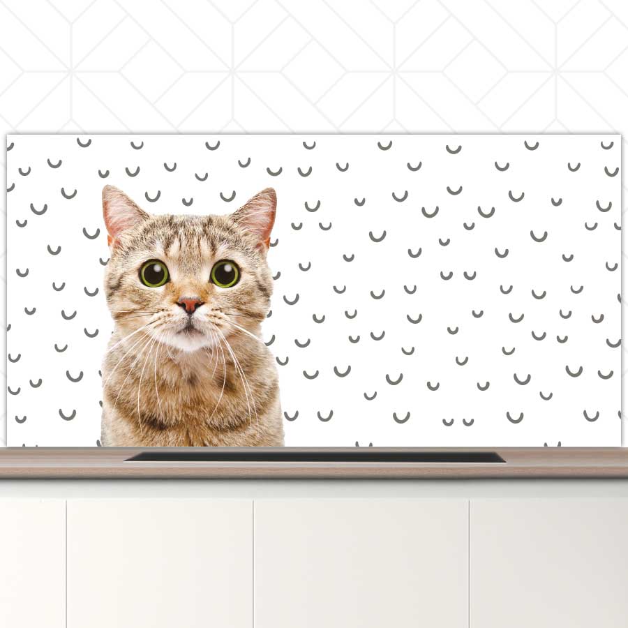 Spatscherm - Funny kat fugler