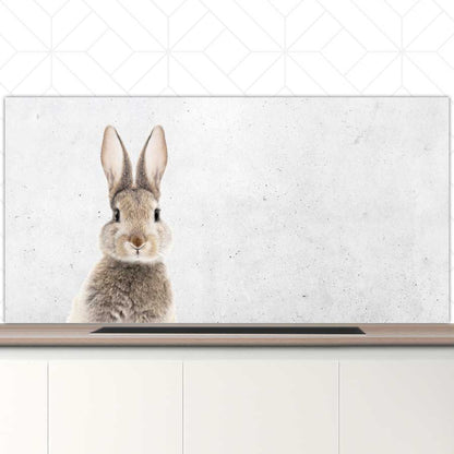Spatscherm - Funny konijn beton