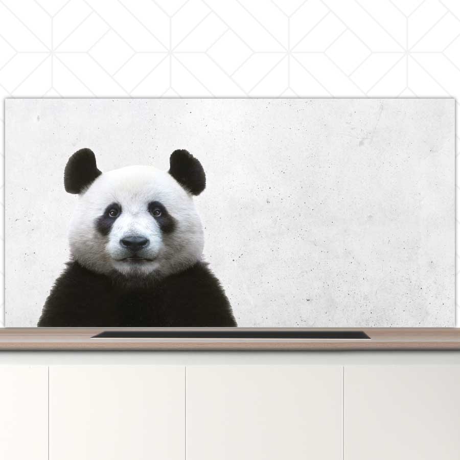 Spatscherm - Funny panda beton