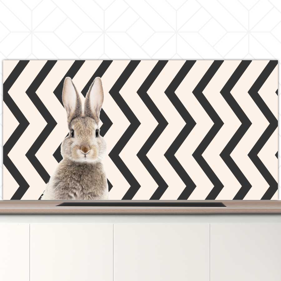 Spatscherm - Funny konijn zigzag