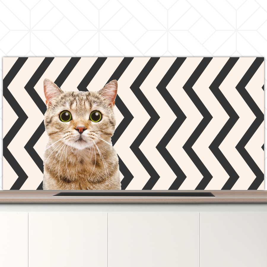 Spatscherm - Funny kat zigzag