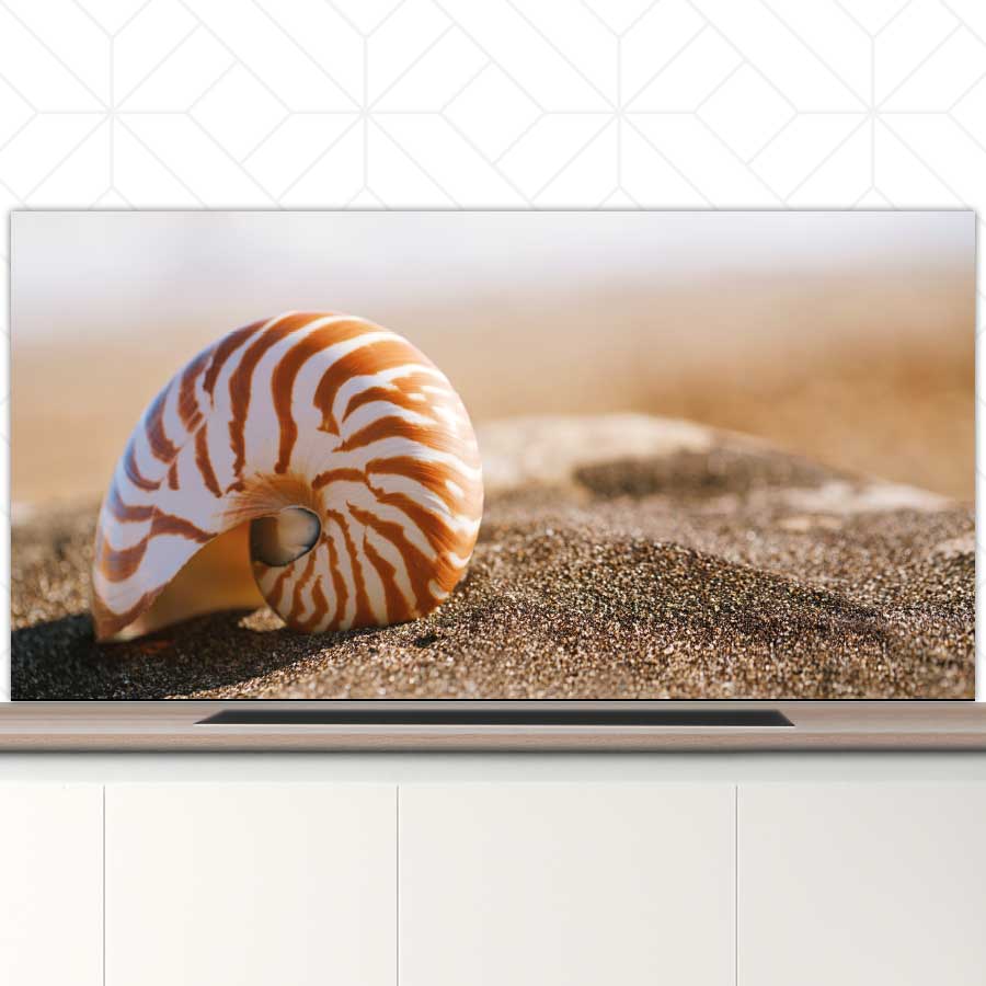 Spatscherm - Zeeschelp