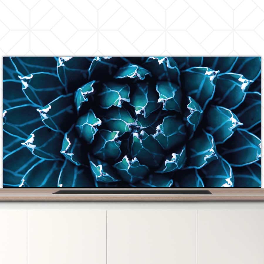 Spatscherm - Blauwe agave