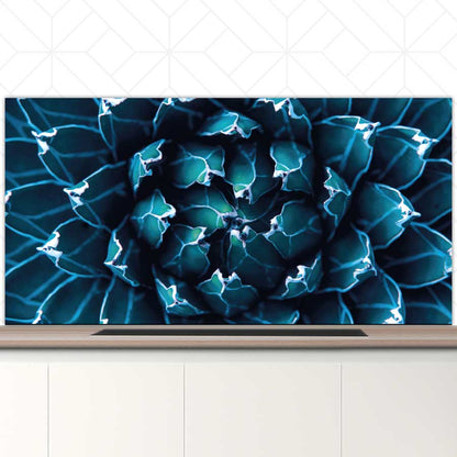 Spatscherm - Blauwe agave