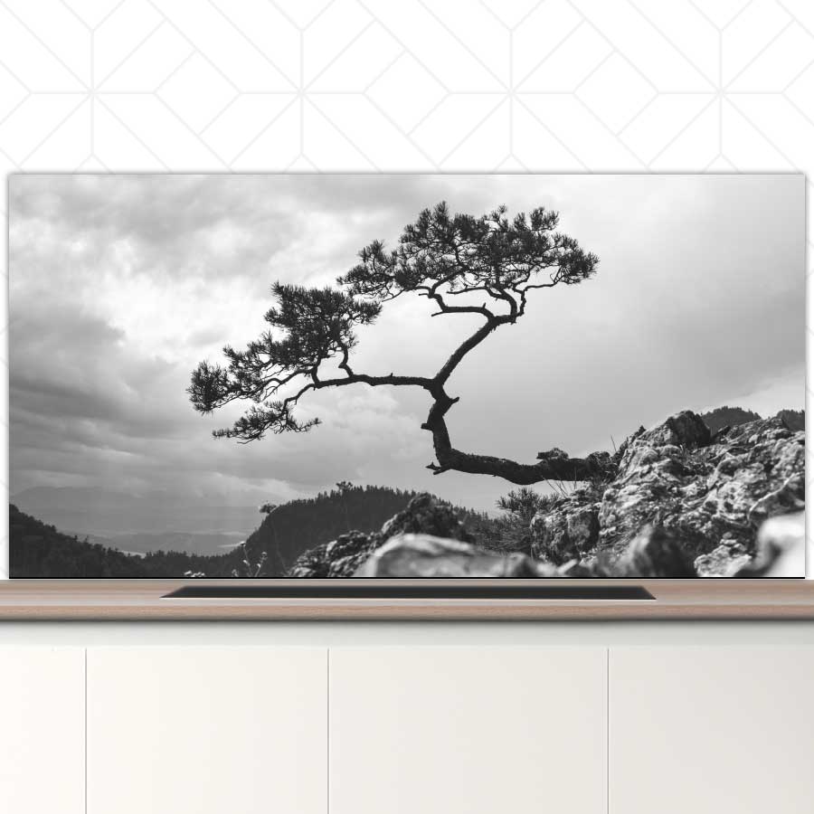 Spatscherm - Overhangende boom