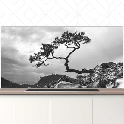 Spatscherm - Overhangende boom