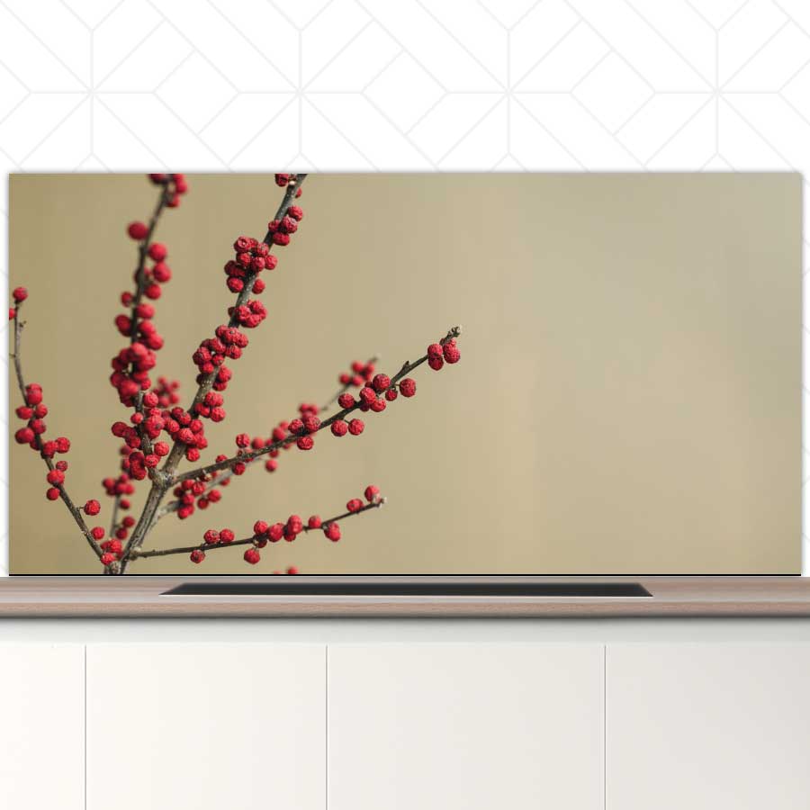 Spatscherm - Rode bessen