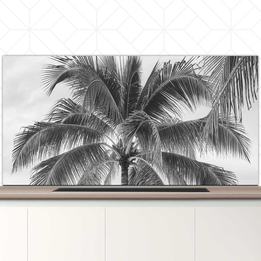 Spatscherm - Palmboom