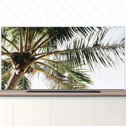 Spatscherm - Palmstrand