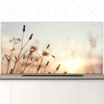 Spatscherm - Dandelion zonsondergang