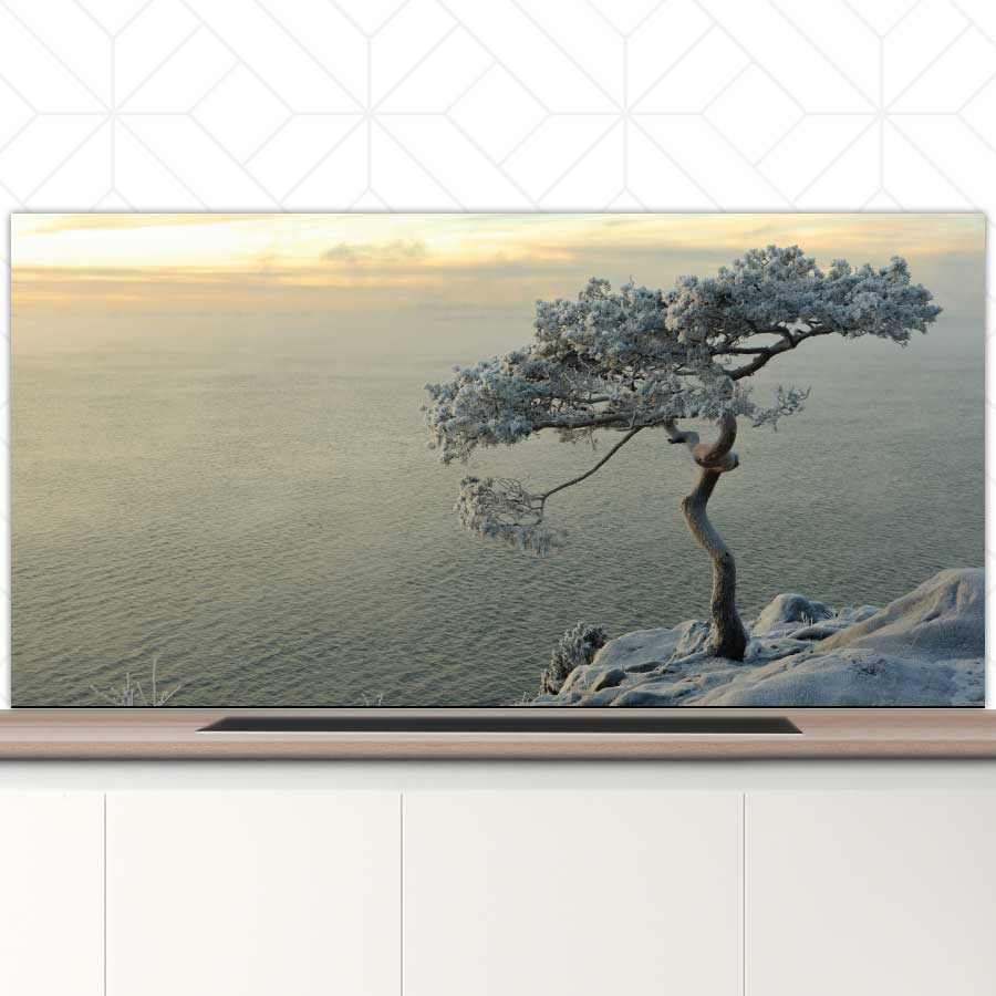 Spatscherm - Winterboom