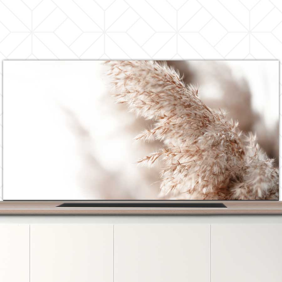 Spatscherm - Pampas gras